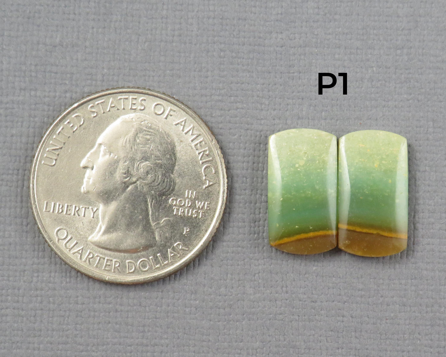 Green Petrified Wood Opal | Cabochons for Setting | 14–16mm, avg 7.4ct | Per Pair | Indonesia | WO261 - - GemEnthusiast