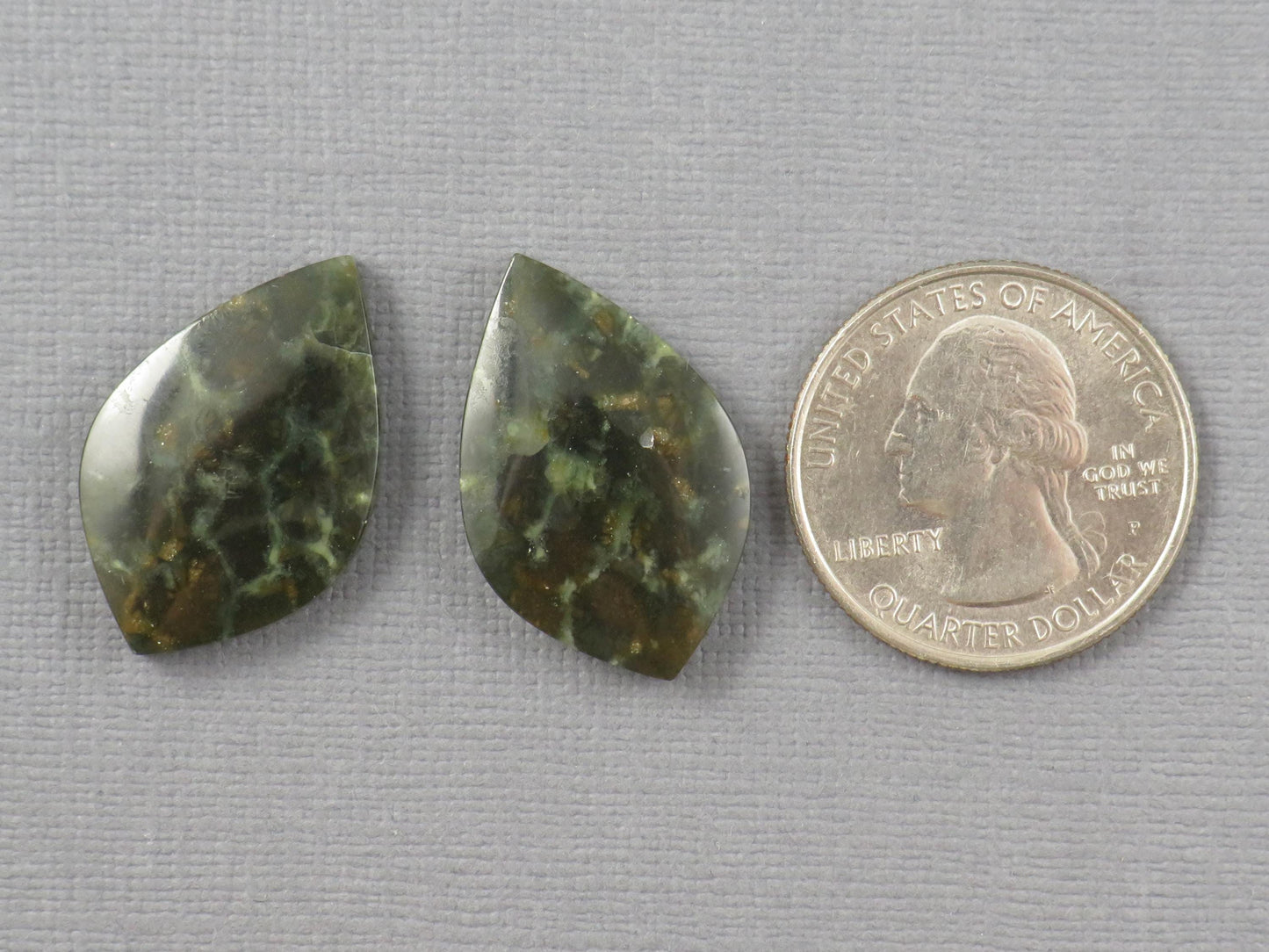 Dark Green Green Fossilized Coral Teardrop Pair | Earring Cabochons | 27x17mm, 14ct | Indonesia | FC117 - - GemEnthusiast