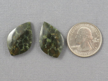 Dark Green Green Fossilized Coral Teardrop Pair | Earring Cabochons | 27x17mm, 14ct | Indonesia | FC117 - - GemEnthusiast