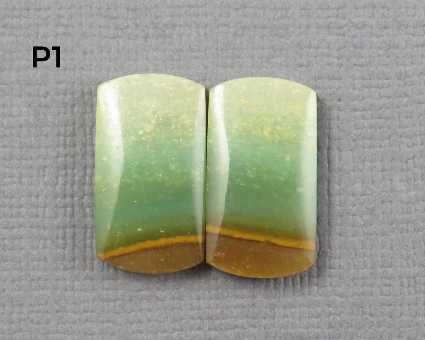 Green Petrified Wood Opal | Cabochons for Setting | 14–16mm, avg 7.4ct | Per Pair | Indonesia | WO261 - - GemEnthusiast