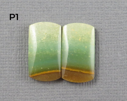 Green Petrified Wood Opal | Cabochons for Setting | 14–16mm, avg 7.4ct | Per Pair | Indonesia | WO261 - - GemEnthusiast
