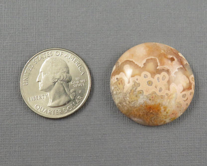 28mm Crazy Lace Agate Cabochon | 28mm, 46.8cts | Peach Pink and White Banding | AG412 - - GemEnthusiast