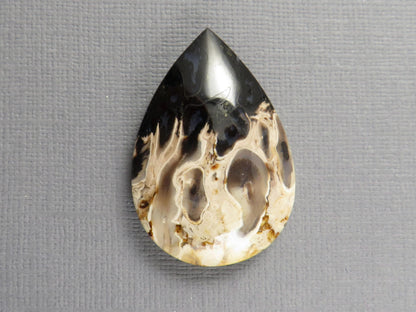 Fossilized Palm Root Pear Cabochon | Flame Pattern | 36x25mm, 44ct | White, Black, Yellow | PRF103 - - GemEnthusiast