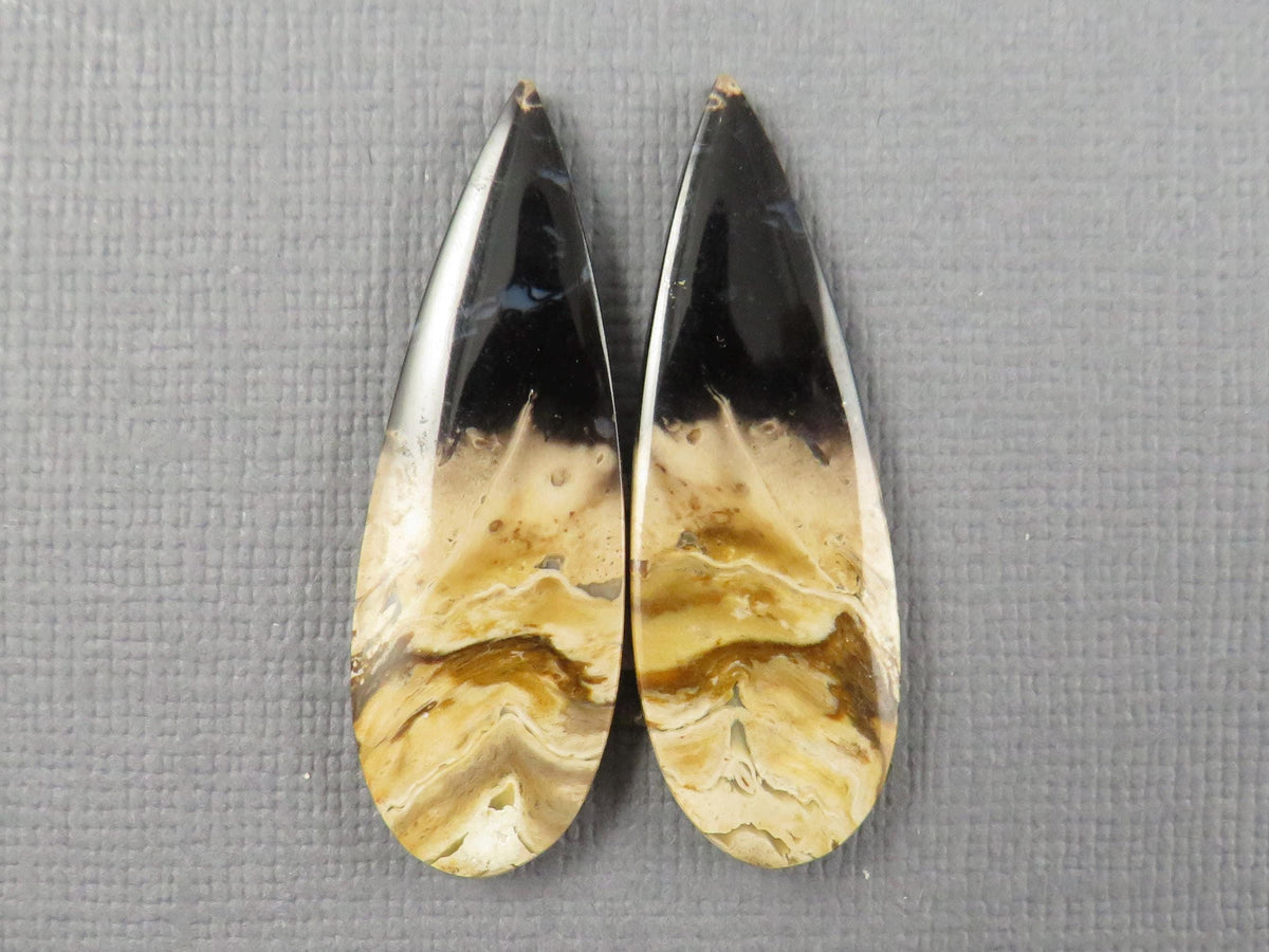 Fossil Palm Root Pear Pair | Cabochons for Earrings | 24mm x 12mm, 26cts | PRF106 - - GemEnthusiast