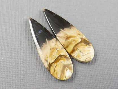 Fossil Palm Root Pear Pair | Cabochons for Earrings | 24mm x 12mm, 26cts | PRF106 - - GemEnthusiast