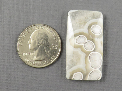 White Orbicular Agate Rectangle Cabochon, Indonesia, 38x20mm (OA125) - - GemEnthusiast