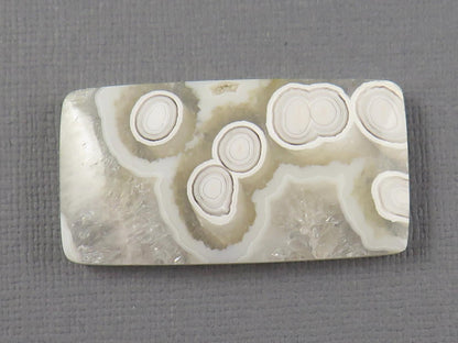 White Orbicular Agate Rectangle Cabochon, Indonesia, 38x20mm (OA125) - - GemEnthusiast