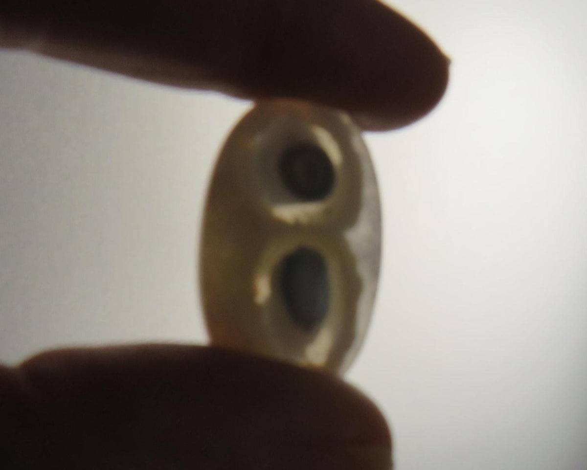 White Orbicular Agate Oval Cabochon, 30x18mm (OA123) - - GemEnthusiast