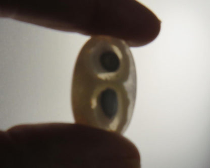 White Orbicular Agate Oval Cabochon, 30x18mm (OA123) - - GemEnthusiast