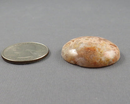 28mm Crazy Lace Agate Cabochon | 28mm, 46.8cts | Peach Pink and White Banding | AG412 - - GemEnthusiast