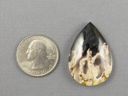 Fossilized Palm Root Pear Cabochon | Flame Pattern | 36x25mm, 44ct | White, Black, Yellow | PRF103 - - GemEnthusiast