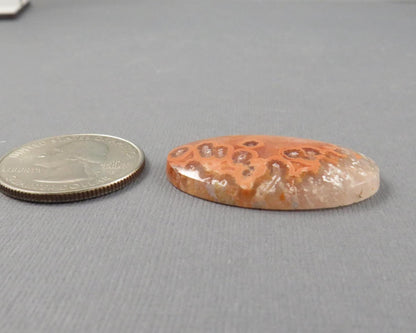 Crazy Lace Agate Oval Cabochon | 35mm x 22mm, 32cts | Peach Pink and White Banding | AG406 - - GemEnthusiast