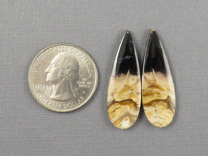 Fossil Palm Root Pear Pair | Cabochons for Earrings | 24mm x 12mm, 26cts | PRF106 - - GemEnthusiast