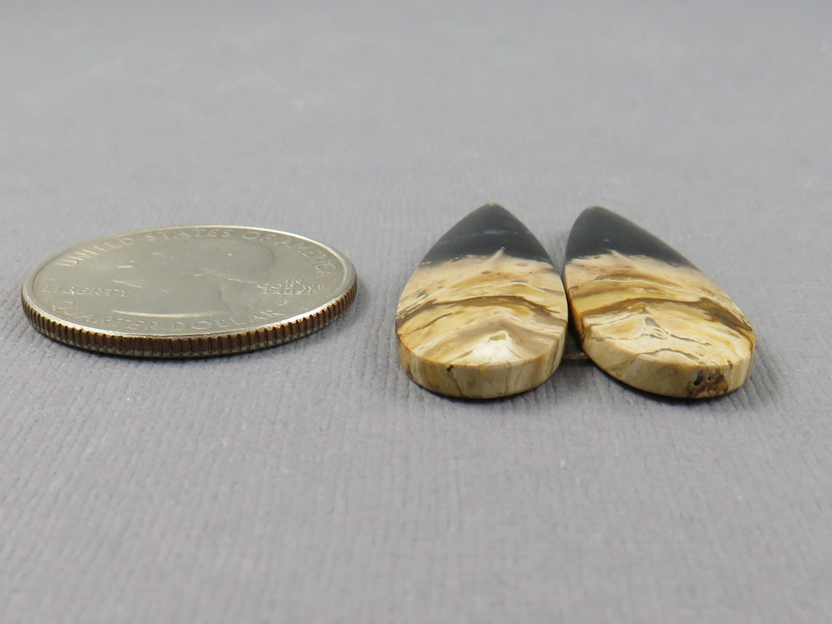 Fossil Palm Root Pear Pair | Cabochons for Earrings | 24mm x 12mm, 26cts | PRF106 - - GemEnthusiast