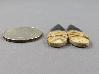 Fossil Palm Root Pear Pair | Cabochons for Earrings | 24mm x 12mm, 26cts | PRF106 - - GemEnthusiast
