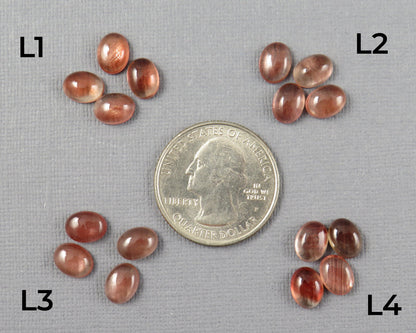 8x6 Oregon Sunstone Cabochons | 4 Stones | Sold Per Lot | Gemstone from Oregon USA | OSC362 - - GemEnthusiast