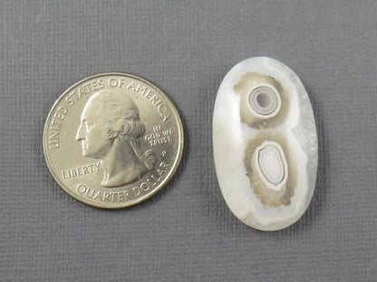 White Orbicular Agate Oval Cabochon, 30x18mm (OA123) - - GemEnthusiast