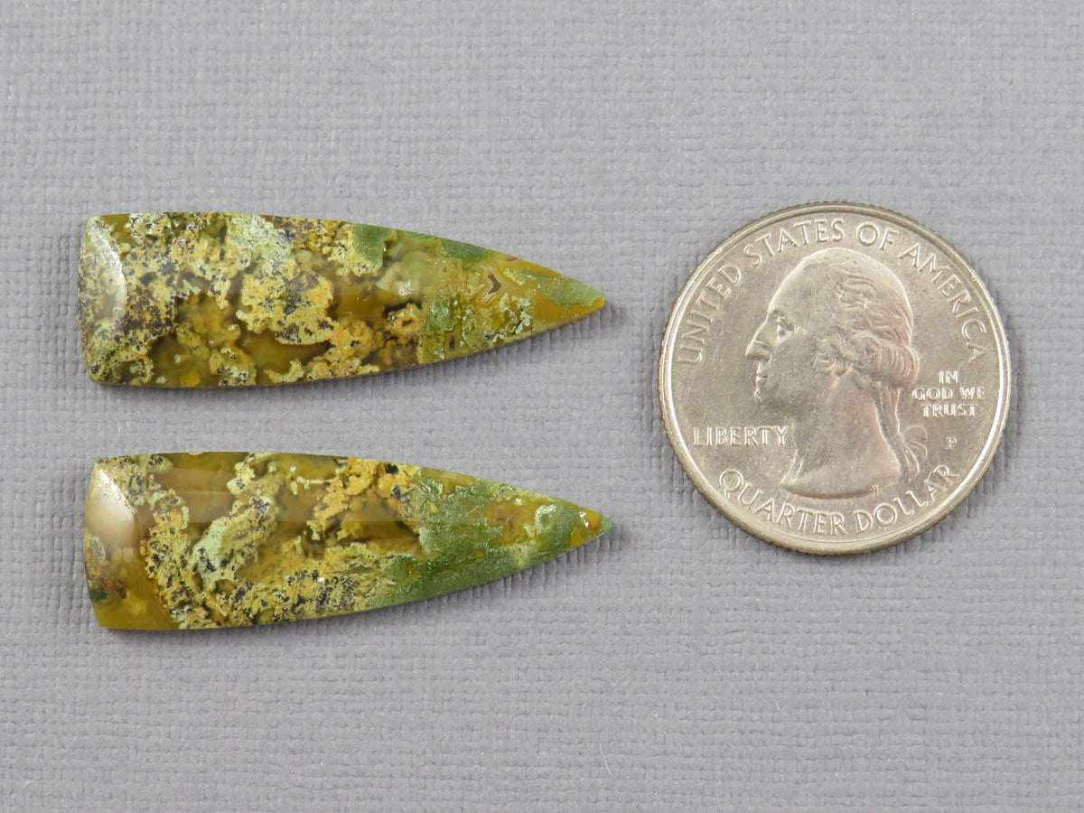 Moss Agate Cabochon Pair, 36x12mm, Green and Yellow, Indonesia (AG353) - - GemEnthusiast