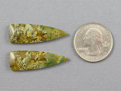 Moss Agate Cabochon Pair, 36x12mm, Green and Yellow, Indonesia (AG353) - - GemEnthusiast