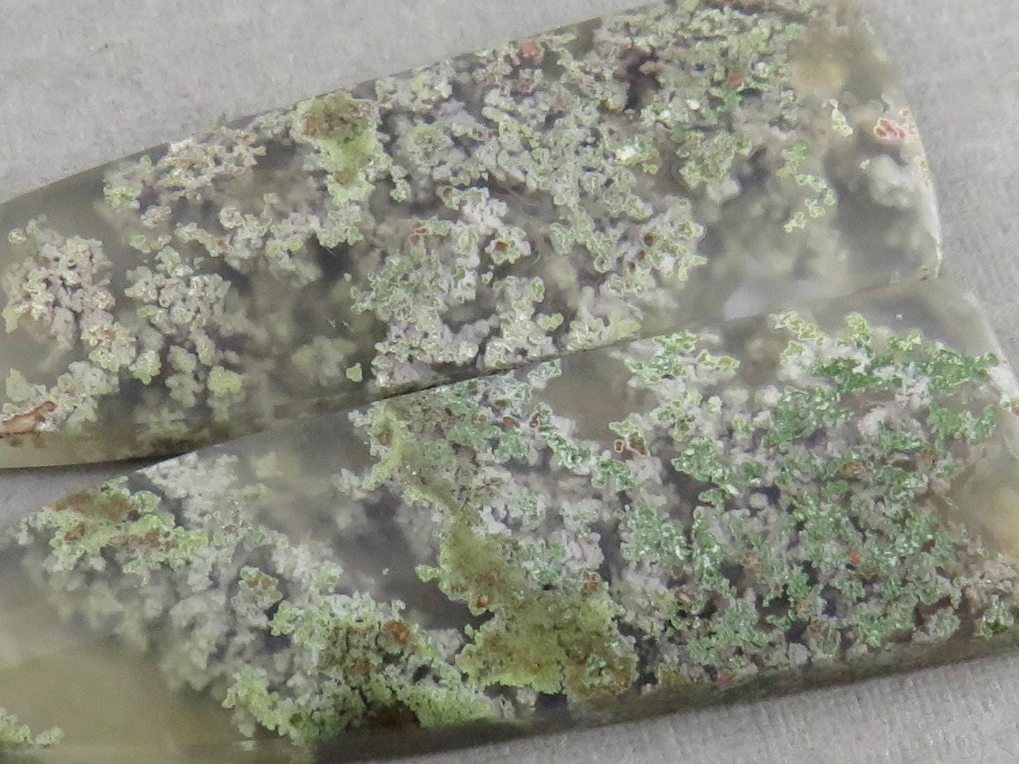 Indonesian Moss Agate Pair | Natural Loose Chalcedony Gemstone | 35x12x4 | AG343 - Gem Enthusiast