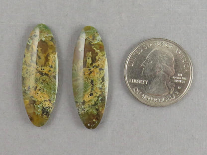 Indonesian Moss Agate Pair | Oval Natural Loose Gemstone | Dendritic Chalcedony | AG337 - Gem Enthusiast