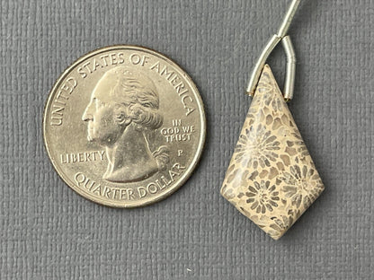 Large Fossil Coral Bead | Natural Loose Gemstone | Z215 - Gem Enthusiast