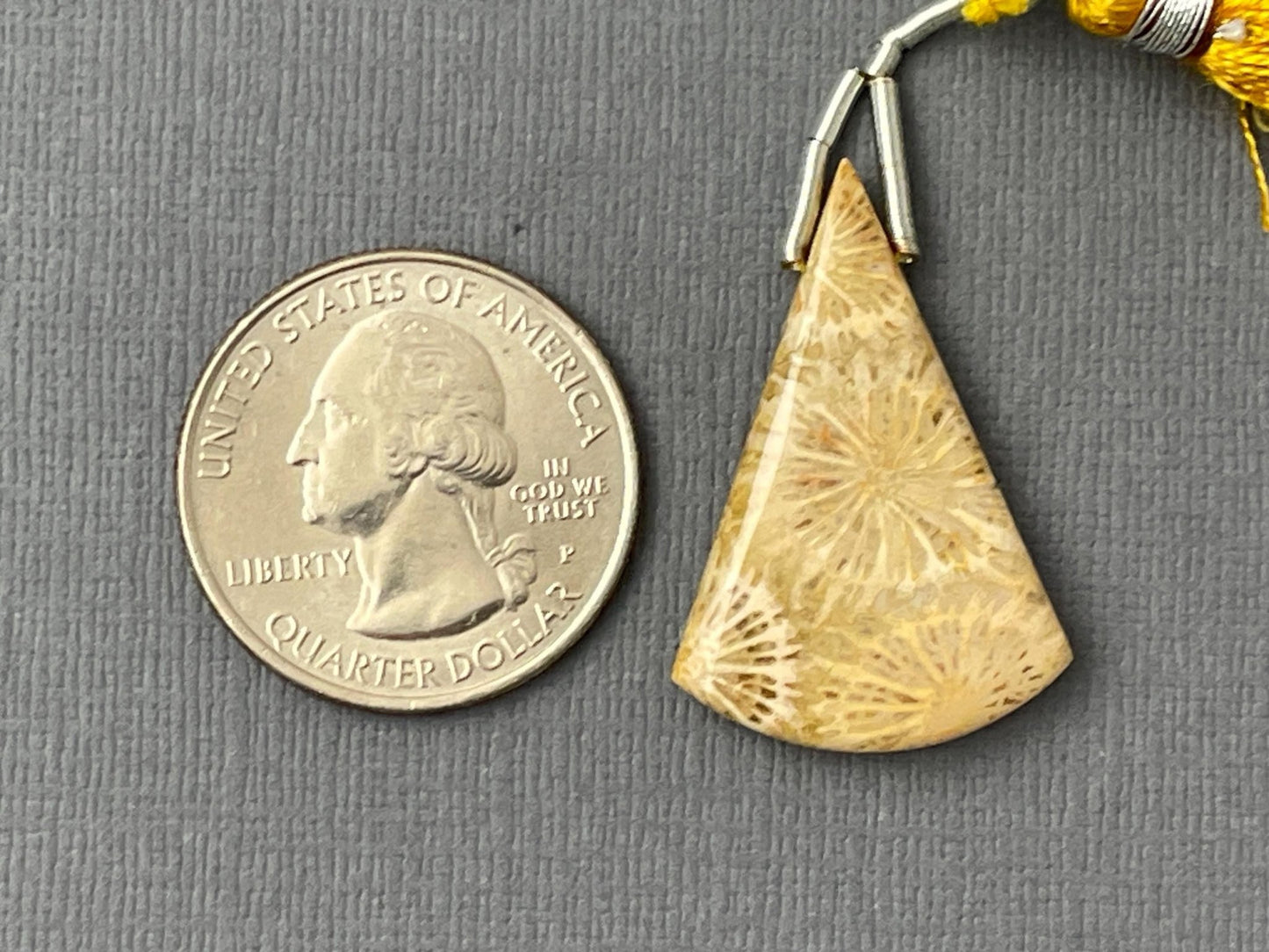 Large Fossil Coral Bead | Natural Loose Gemstone | Z216 - Gem Enthusiast