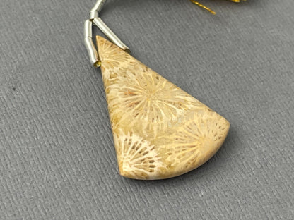 Large Fossil Coral Bead | Natural Loose Gemstone | Z216 - Gem Enthusiast