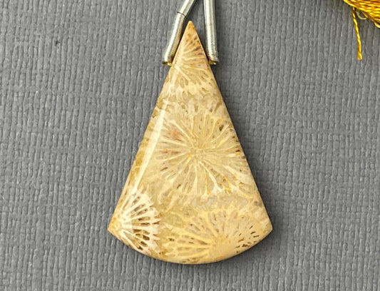 Large Fossil Coral Bead | Natural Loose Gemstone | Z216 - Gem Enthusiast