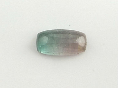 Large Multi - color Tourmaline Cabochon | 22x12 mm | P202 - Gem Enthusiast