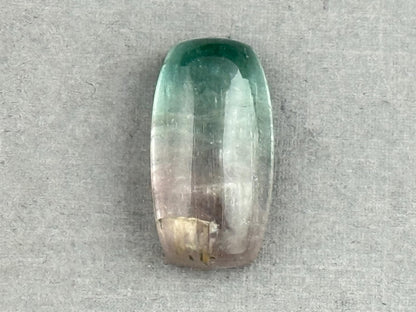Large Multi - color Tourmaline Cabochon | 22x12 mm | P202 - Gem Enthusiast