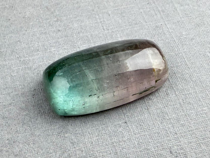 Large Multi - color Tourmaline Cabochon | 22x12 mm | P202 - Gem Enthusiast