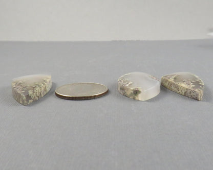 Moss Agate Cabochon | 37mm, avg 31ct | Per Stone | Indonesia | AG356 - Gem Enthusiast
