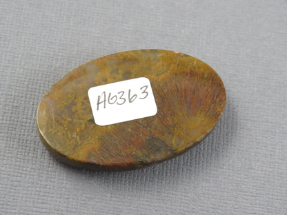 Moss Agate Cabochon Oval | 38x24mm, 56ct | Indonesia | AG363 - Gem Enthusiast