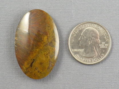 Moss Agate Cabochon Oval | 38x24mm, 56ct | Indonesia | AG363 - Gem Enthusiast