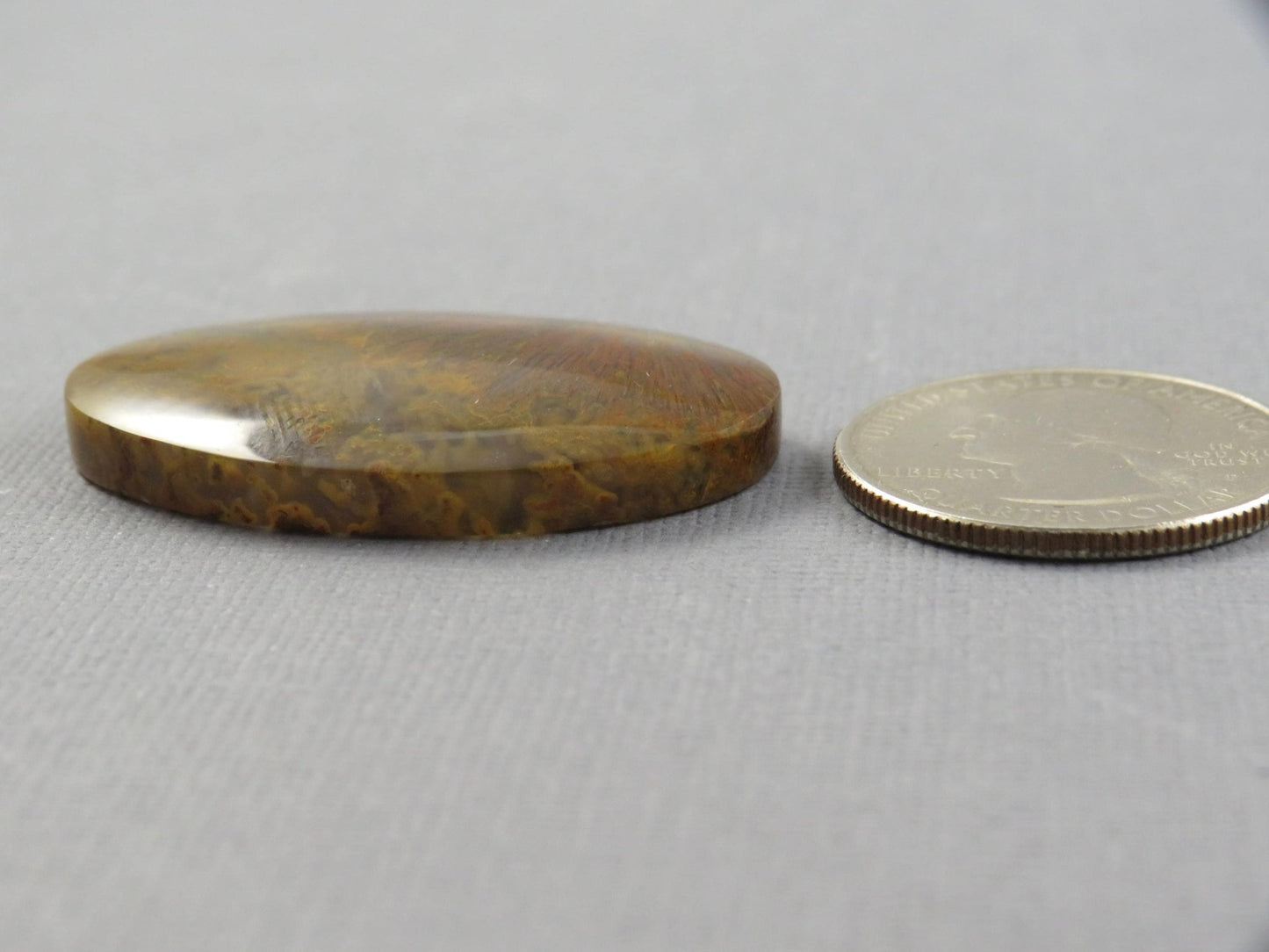 Moss Agate Cabochon Oval | 38x24mm, 56ct | Indonesia | AG363 - Gem Enthusiast