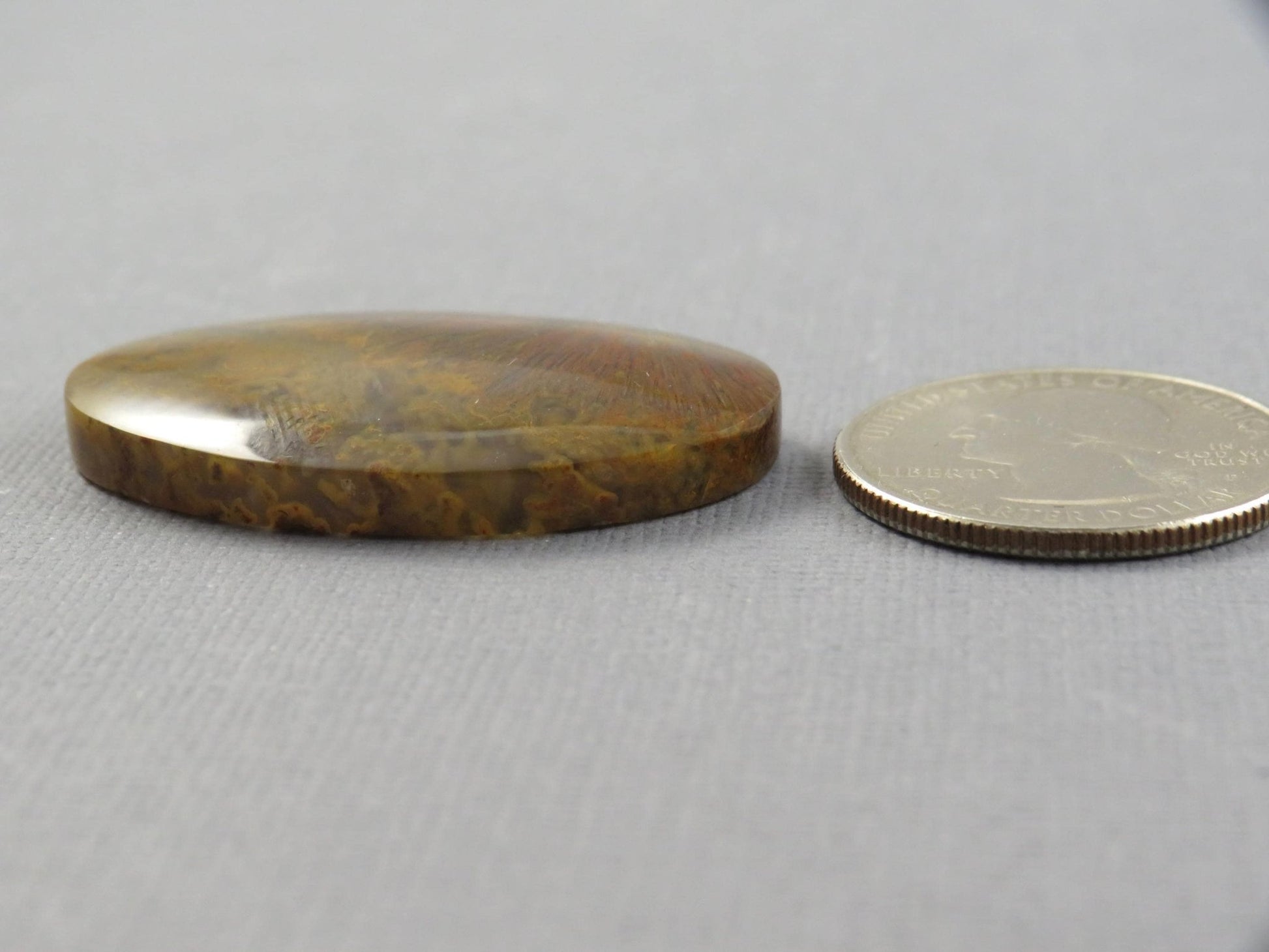 Moss Agate Cabochon Oval | 38x24mm, 56ct | Indonesia | AG363 - Gem Enthusiast