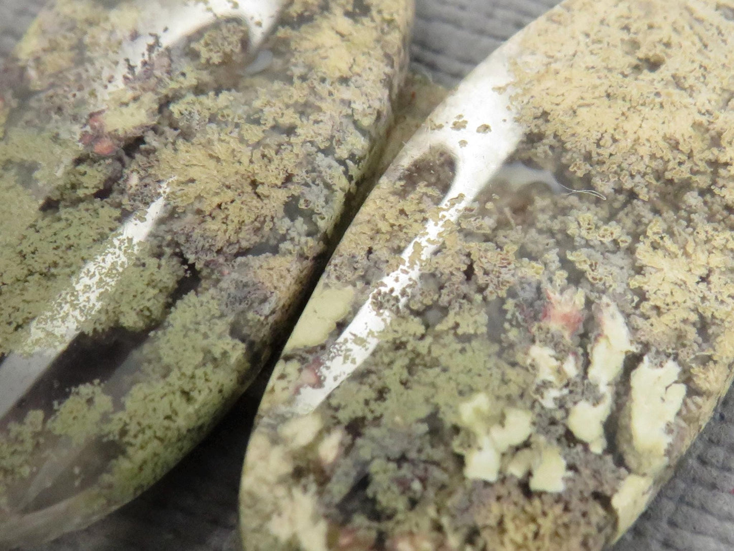 Moss Agate Oval Gemstones | 26mm x 12mm, 12.3 ct | Per Pair | Indonesia | AG346 - Gem Enthusiast