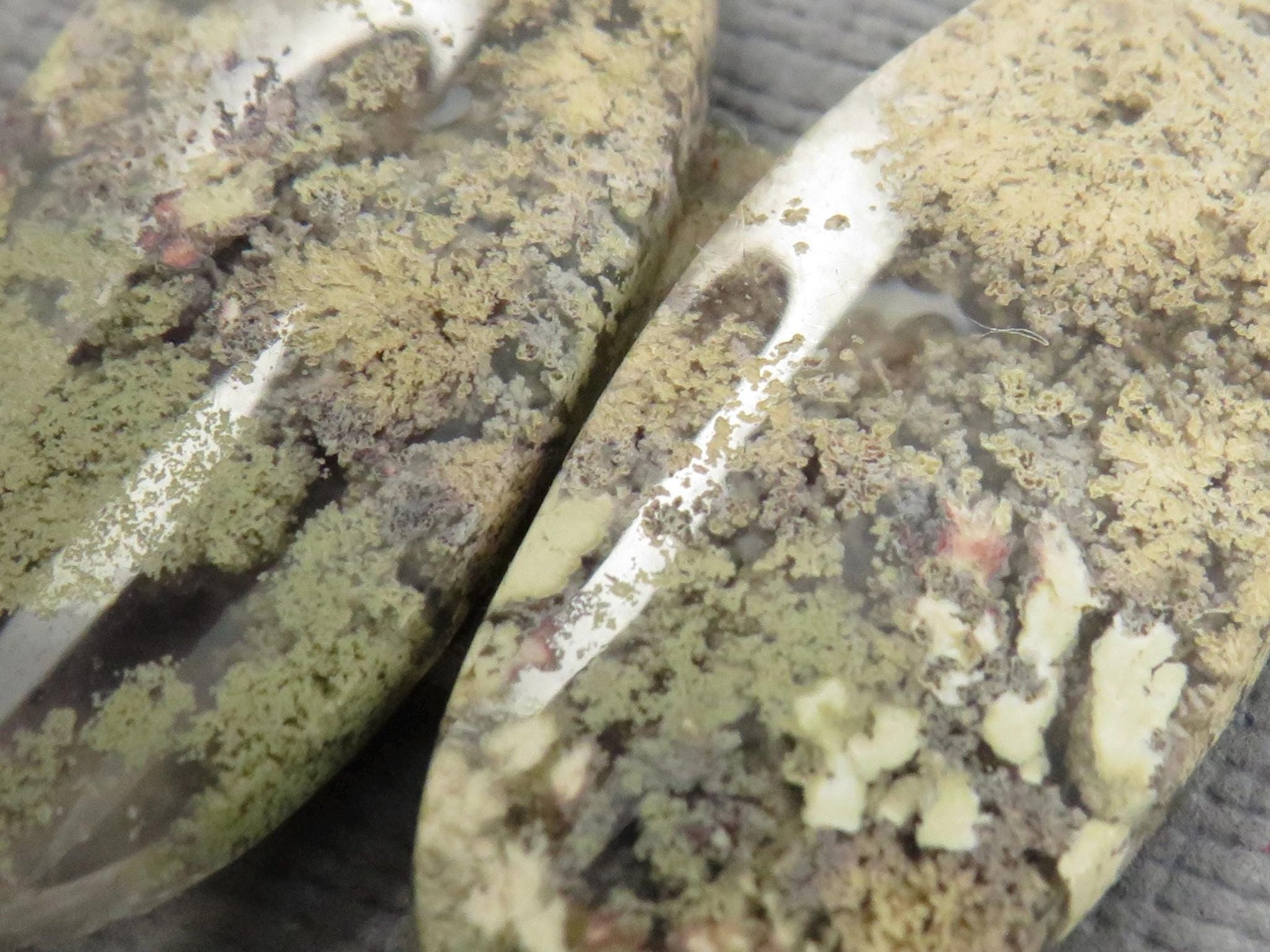 Moss Agate Oval Gemstones | 26mm x 12mm, 12.3 ct | Per Pair | Indonesia | AG346 - Gem Enthusiast