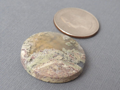 Moss Agate Round | Cabochon for Setting | 29x24mm, 39ct | Indonesia | AG361 - Gem Enthusiast
