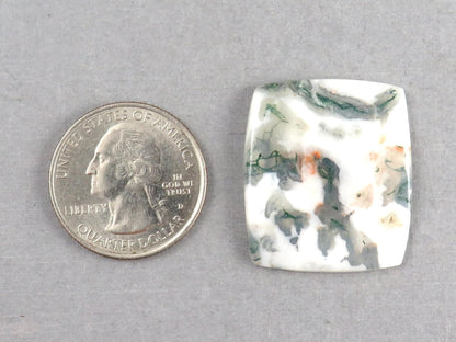 Moss Agate | White, Green & Orange Dendritic Cabochon | 30x26 Rectangle | AG327 - Gem Enthusiast