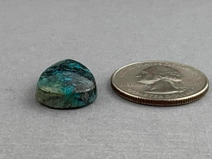 Native Copper in Chrysocolla | Natural Loose Cabochon | P229 - Gem Enthusiast