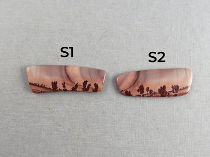 New Mexico Apache Sage Rhyolite | 41x20 mm | Natural Cabochon | RH122 RH121 - Gem Enthusiast