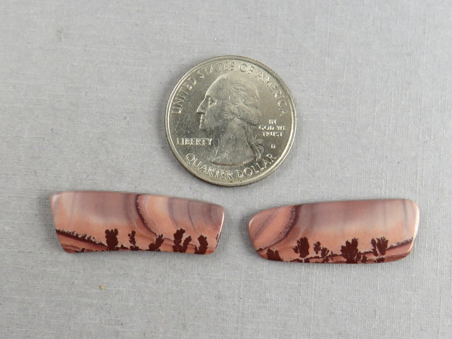 New Mexico Apache Sage Rhyolite | 41x20 mm | Natural Cabochon | RH122 RH121 - Gem Enthusiast