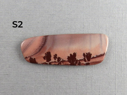 New Mexico Apache Sage Rhyolite | 41x20 mm | Natural Cabochon | RH122 RH121 - Gem Enthusiast