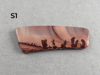 New Mexico Apache Sage Rhyolite | 41x20 mm | Natural Cabochon | RH122 RH121 - Gem Enthusiast