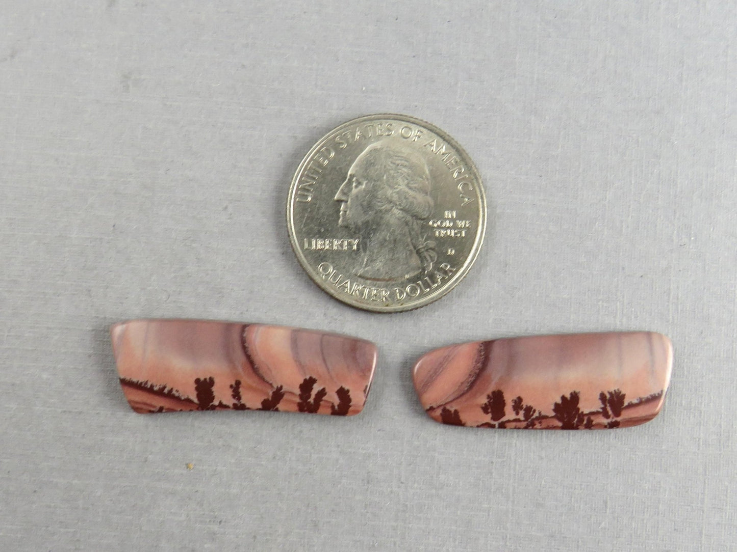 New Mexico Apache Sage Rhyolite | 41x20 mm | Natural Cabochon | RH122 RH121 - Gem Enthusiast