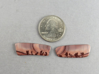 New Mexico Apache Sage Rhyolite | 41x20 mm | Natural Cabochon | RH122 RH121 - Gem Enthusiast
