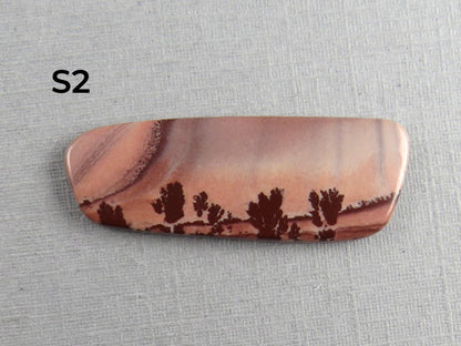 New Mexico Apache Sage Rhyolite | 41x20 mm | Natural Cabochon | RH122 RH121 - Gem Enthusiast