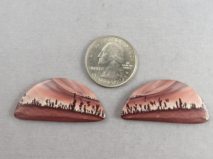New Mexico Apache Sage Rhyolite | 41x20 mm | Natural Cabochon | RH126 RH127 - Gem Enthusiast